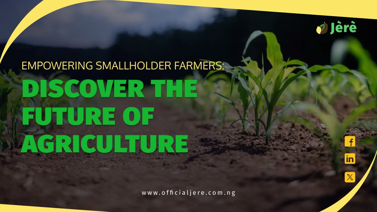 jereagtech's tweet photo. 🌾 Unlocking the potential of smallholder farmers with tech-driven solutions. Join us in shaping the future of agriculture. #EmpowerSmallholderFarmers #JereAgTech #ZeroHunger #SDGs #GlobalGoals #DecentWork #NoPoverty https://t.co/hGMLLPe7Zk