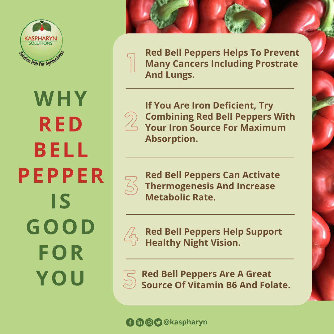 kaspharyn's tweet photo. Would you love to try out RED BELL PEPPERS? 😁
#BellPeppers #RedBellPepper https://t.co/c1KUMc3cVQ