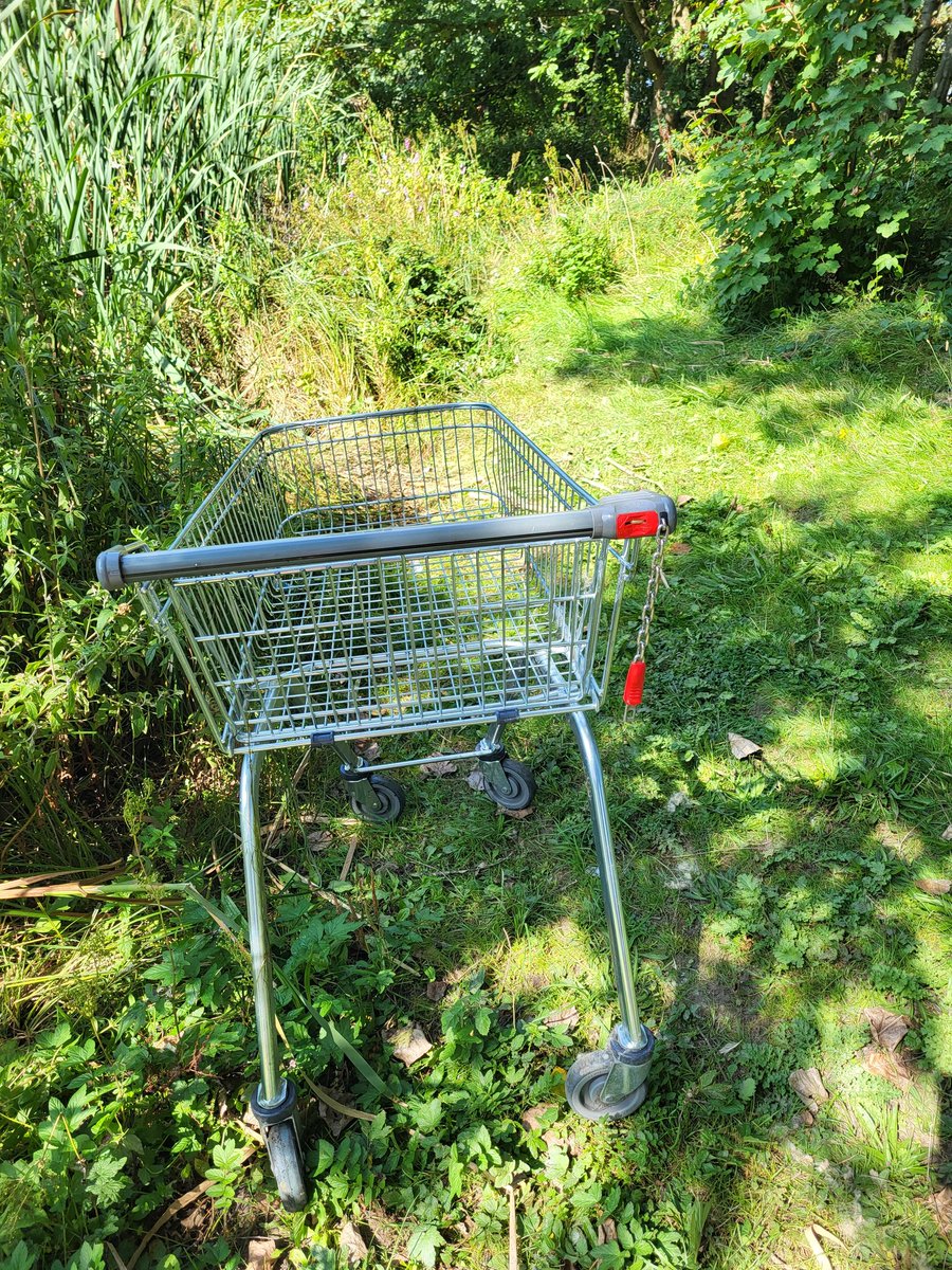 Helen B | Then There Were Five tweet media