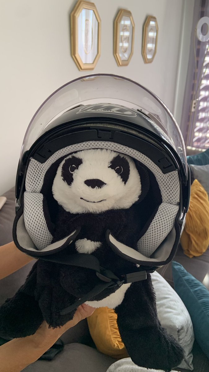 dovipanda's tweet photo. Prepared for the next GP!!🏍️🏁#sanmarino https://t.co/ltgslQEvp3