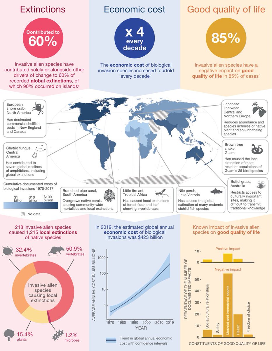 Invasive Species have HUGE impacts #ipbes10

✨60% of recorded extinctions are due at least in part to invasive species
✨Known costs are annually in the U$D billions, but likely in the trillions
✨Costs are increasing 4X per decade
✨Invasions have deep impact on quality of life