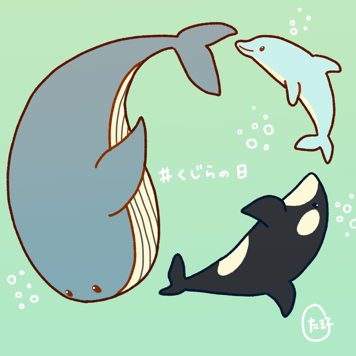 イルカもシャチもクジラの仲間らしいので、みんな一緒に泳いでもらい