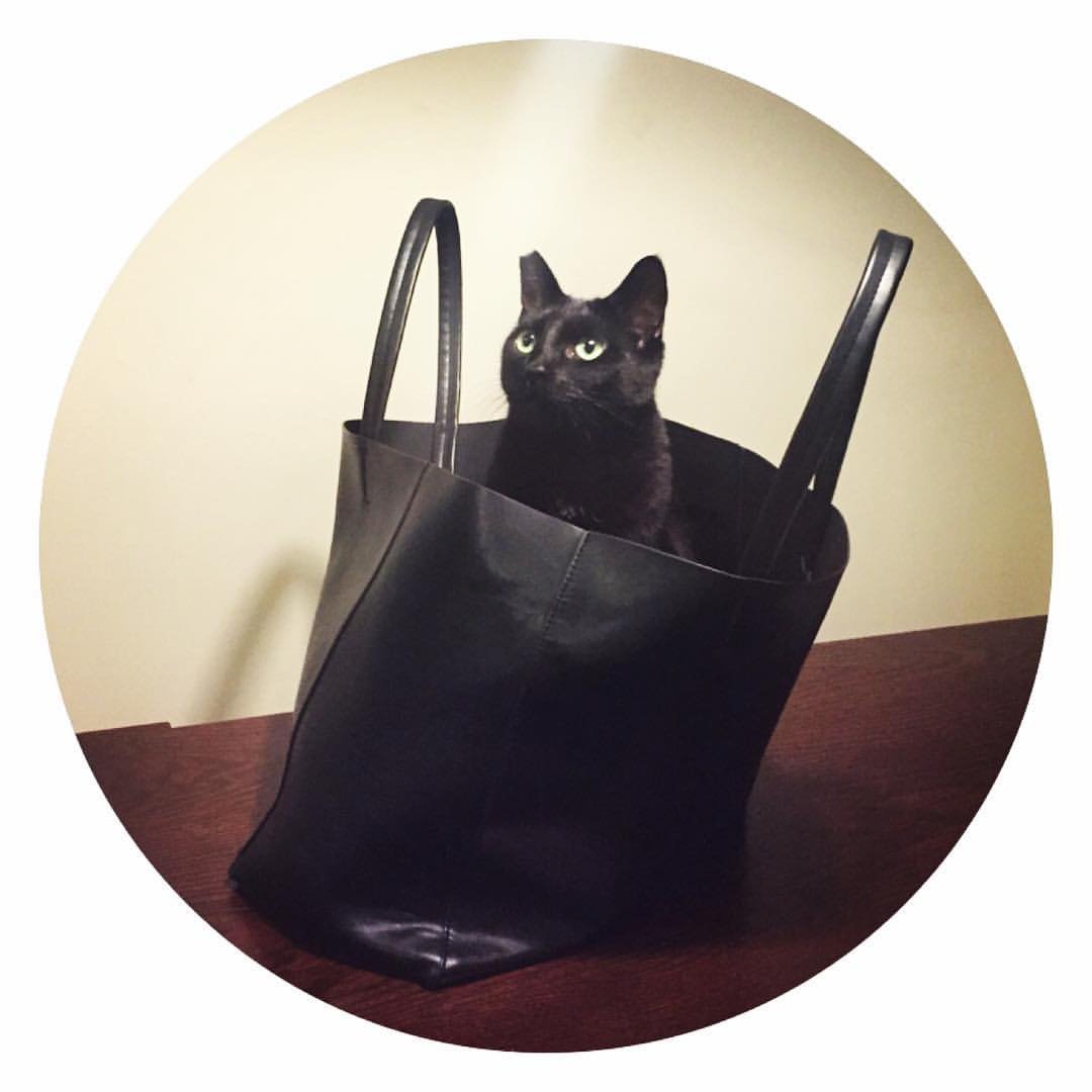 Moon Of Retribvtion tweet media