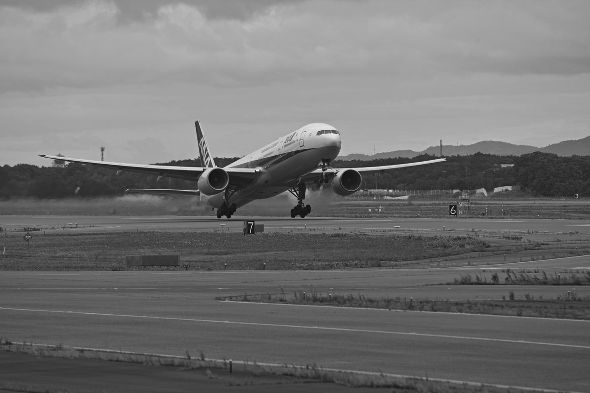 NH66 JA754A 🛫
⛰️ではもうトカゲ🦎さんも出なくなってきたよ〜カナヘビさんの幼体は未だ居る。
#Monochrome #sdquattro #sigma120300sports #JA754A #aviation #B773 #aviationphotography #megaplane #planespotting #avgeek 
Aug ,16 / 15:10 頃
exif: 300mm f/4 1/1000 ISO160 オートフォーカス。