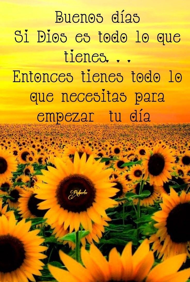 Excelente y bendecido día ✨🙏❤️💯