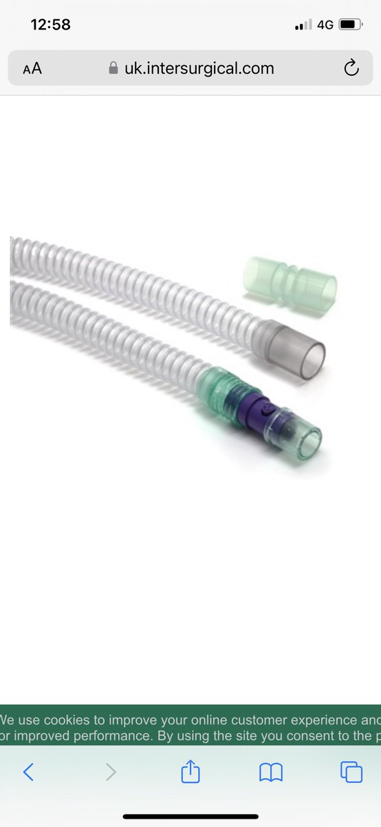 Sara Chapman tweet media