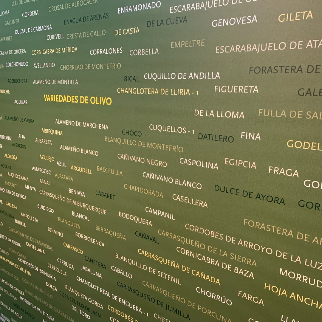 Descubre Oleaginus, un mundo de tonalidades verde oliva y gris plateado en las obras realistas que capturan la esencia del olivar. ¿Sabías que hasta Van Gogh se enamoró de estos paisajes? Explora la colección y llévate a casa un pedacito de historia en forma de arte.