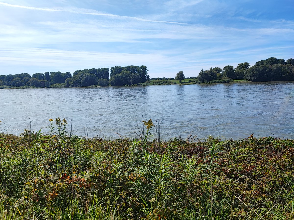 WeareWuppertal's tweet photo. Mittlerweile bin ich am Rhein entlang unterwegs. #FckThatComaTour https://t.co/e84jumUwb1