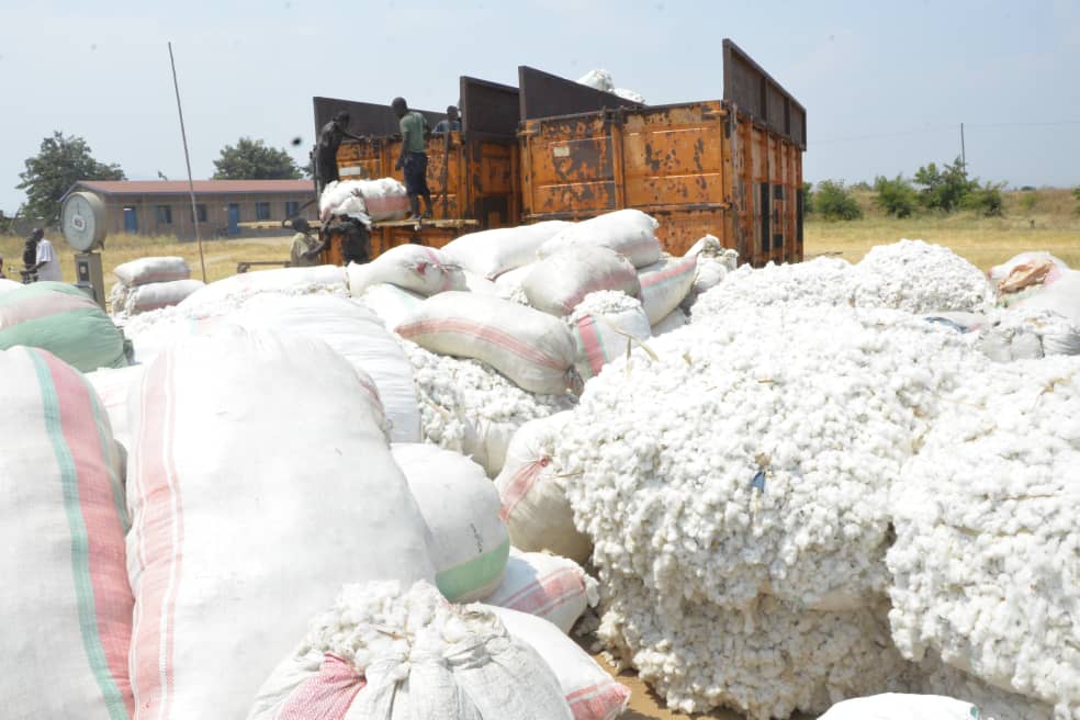 TerimbereNews's tweet photo. The CEO of #SOJETRA, @lewis_ephraim announced that the cooperatives supervised in the #Gihanga commune are made up of rice farmers, pig breeders, cotton farmers and producers in order to contribute to the promotion of agriculture and livestock breeding in  #Burundi,@BMineagrie https://t.co/R1rlpHvj8S