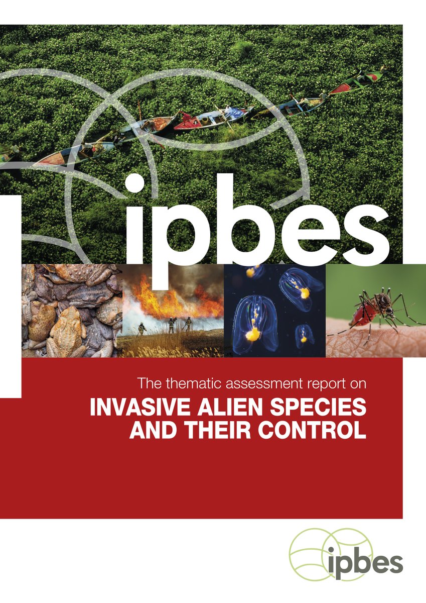 🧵OUT NOW @IPBES Assessment on #InvasiveAlienSpecies (IAS) Huge congratulations to co-chairs @UKLadybirds @pstoett @AnibalPauchard + all others involved 👏An amazing achievement! Its evidence will be instrumental in addressing IAS moving forward Key findings summarised👇1/11