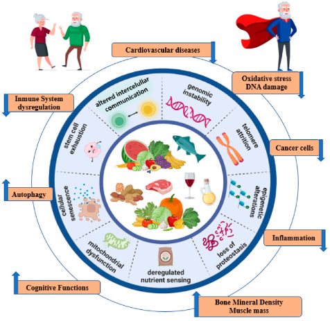 Nuestra lectura recomendada de hoy sobre patrones de dieta y envejecimiento 

Influencia de la dieta mediterránea en el envejecimiento saludable

mdpi.com/1422-0067/24/5…

#ActualizateconFINUT