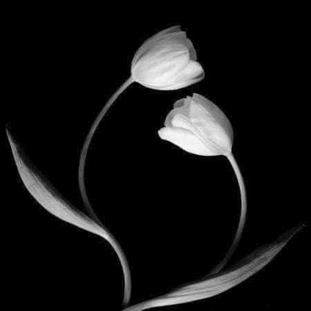Jokerellone_'s tweet image. E ci #piacciono
le cose #sbagliate…..
Che poi forse
sono quelle #giuste. 🦋

#Bart81s❤️‍🔥