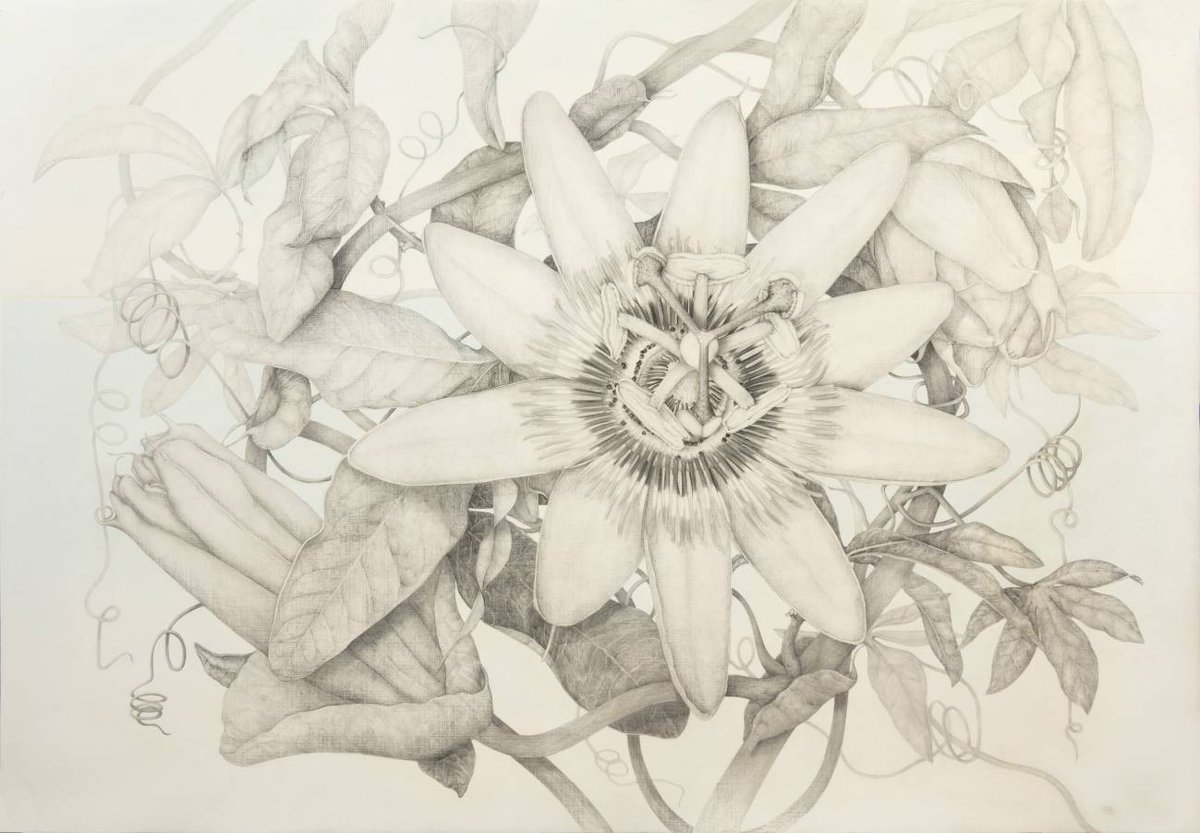 Paciencia, perseverancia y práctica son las "tres P" necesarias en la ilustración científica, según una de sus profesionales, Marta Chirino, especialista en arte botánico 

✍<a href="/analiaigles/">Analía Iglesias C.</a>

agenciasinc.es/Reportajes/Ilu…