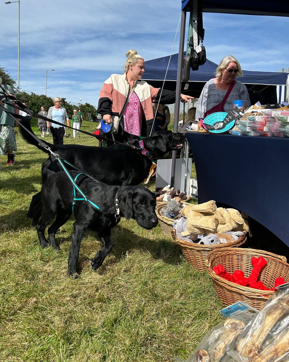 EdinDogCatHome's tweet image. We can’t thank everyone who turned up for Open Day enough 💫

We feel incredibly fortunate to have such amazing supporters, complete with their adorable furry friends. Words can't express our appreciation for your ongoing care and support for both us and the animals we serve. 💚
