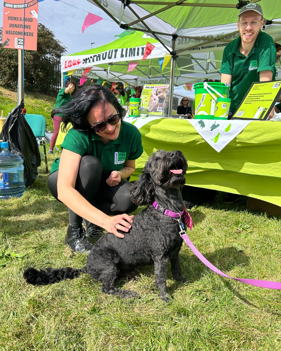 EdinDogCatHome's tweet image. We can’t thank everyone who turned up for Open Day enough 💫

We feel incredibly fortunate to have such amazing supporters, complete with their adorable furry friends. Words can't express our appreciation for your ongoing care and support for both us and the animals we serve. 💚