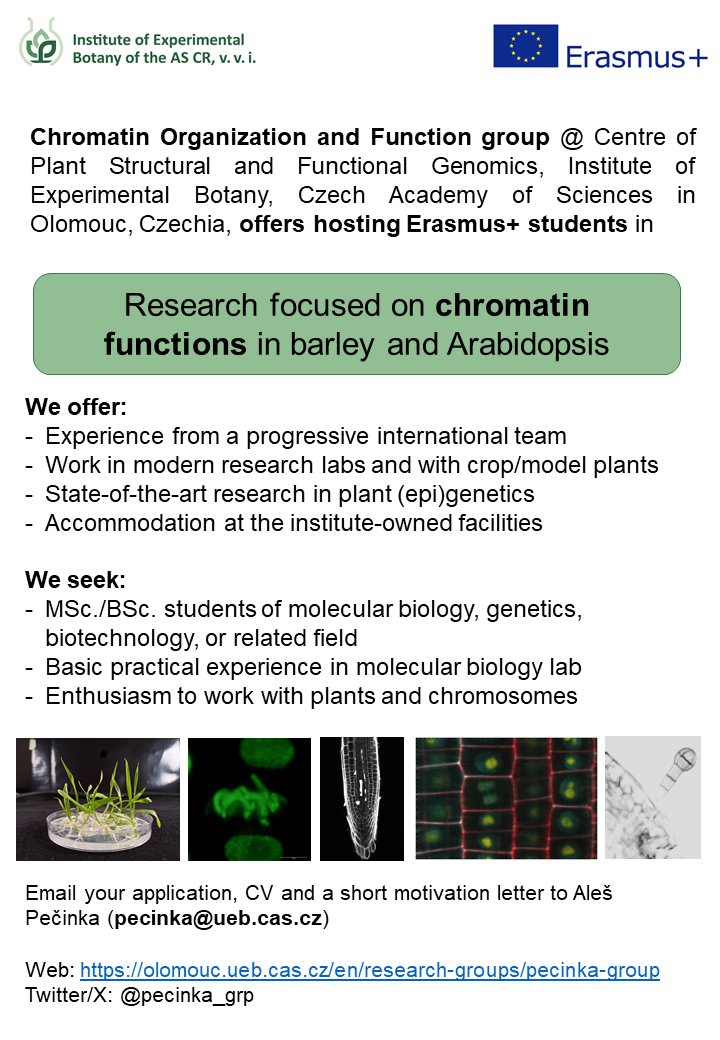 If you are a MSc./BSc. student looking for an international internship we are hosting! #plantscience #student #erasmus #MolecularBiology
#SummerJob