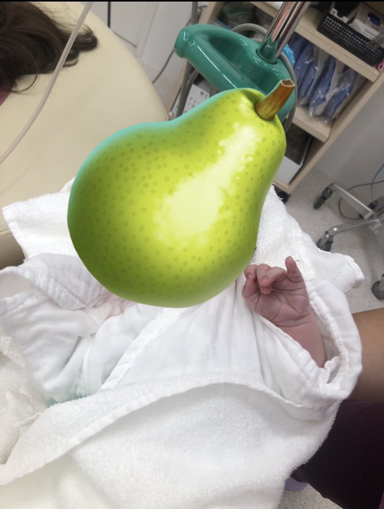 ｼﾛﾆｺﾌ tweet media