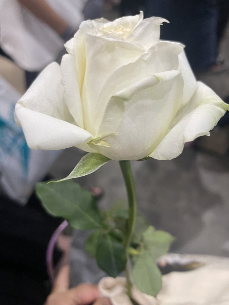 FON_006's tweet image. ดอกไม้น้องบิว 💙 แม่จ๋า #Buildfirstsoloconcert 
@JakeB4rever