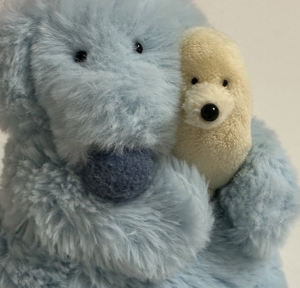 カネヒラ tweet media