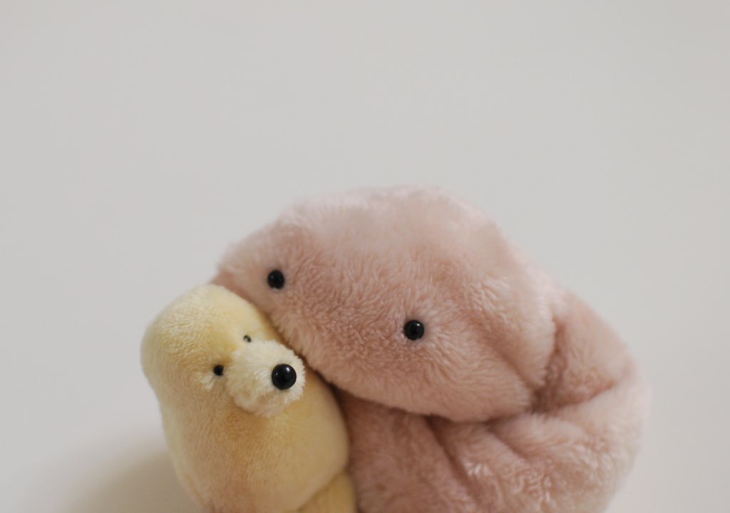 カネヒラ tweet media