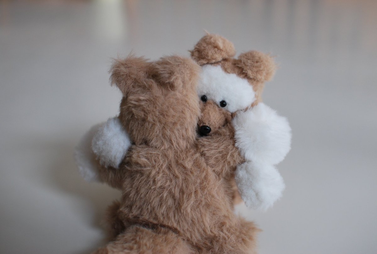 カネヒラ tweet media