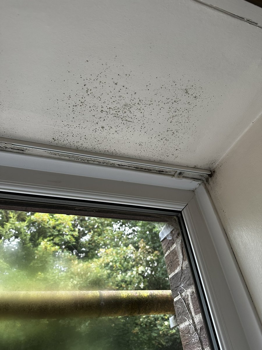 onestopfestival's tweet photo. @TravelodgeUK , do you think this health Hazzard of accommodation is acceptable ? This is the state of room 112 this weekend at Nottingham Wollaton Park https://t.co/aQONV0UKK3