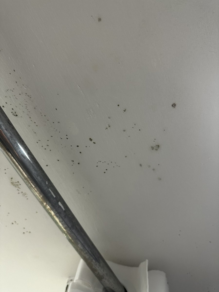 <a href="/TravelodgeUK/">Travelodge UK</a> , do you think this health Hazzard of accommodation is acceptable ? This is the state of room 112 this weekend at Nottingham Wollaton Park