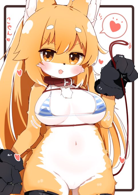 もふもふいたずらお狐ちゃんこゃん!🦊💕💕 