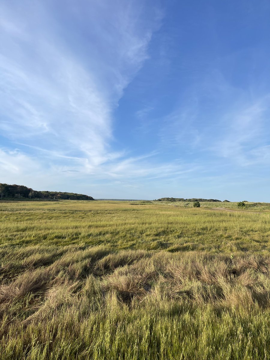 ๐ฅ๐๐๐พ๐
๐๐ ๐ป tweet media