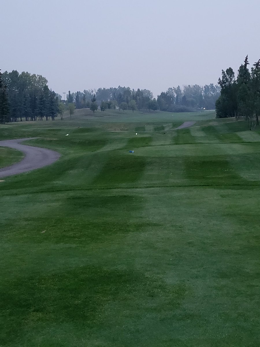 Dale Ekman tweet media