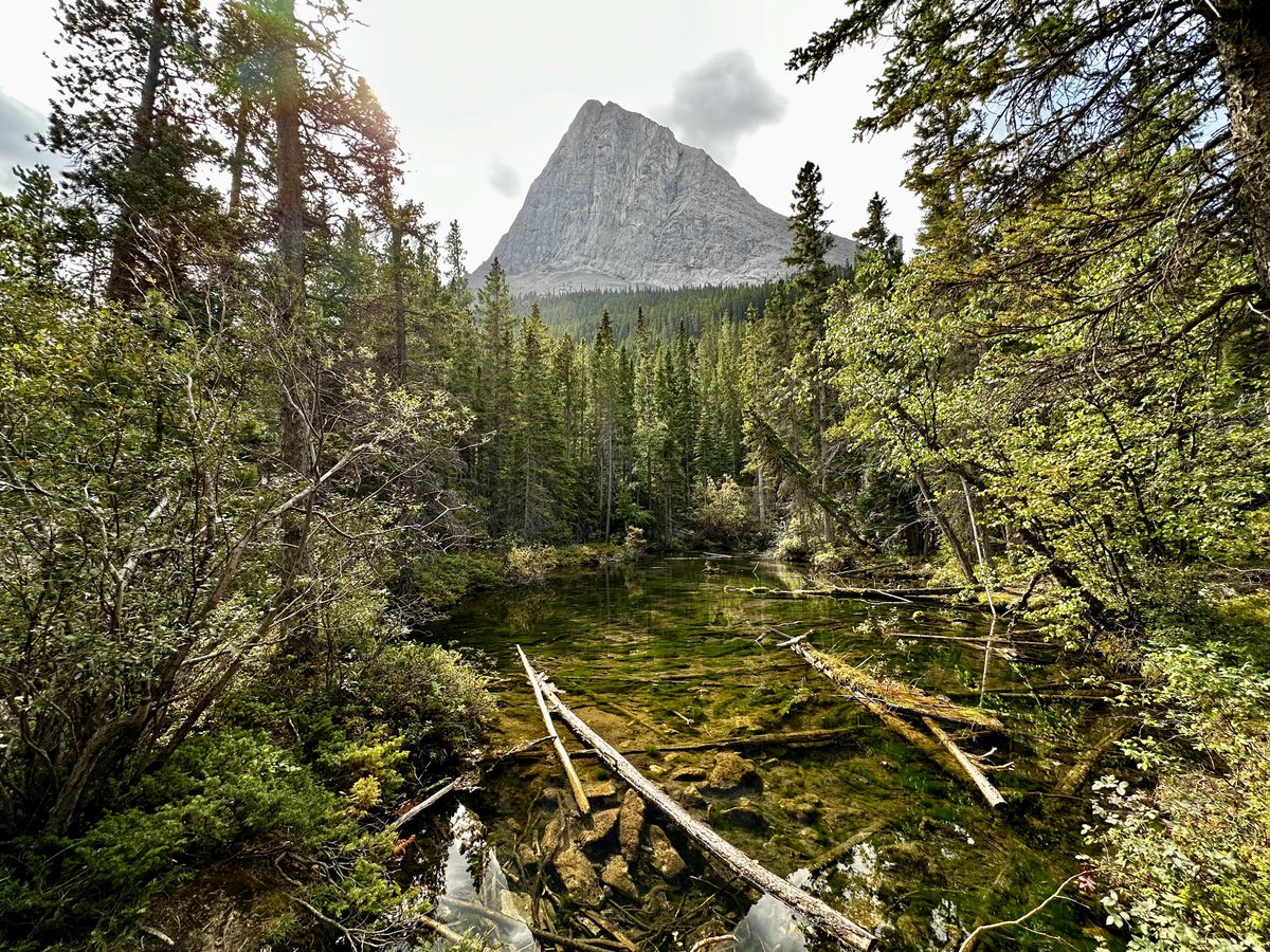 bnrealwithu's tweet photo. A few pictures from our #GrassiLakes Hike yesterday #Canmore. 1.7km up
Beautiful 🥰 So many beautiful spots.
If you’re ever in the area, I highly recommend! Bring water 😉 https://t.co/u6Sa2FJXEA