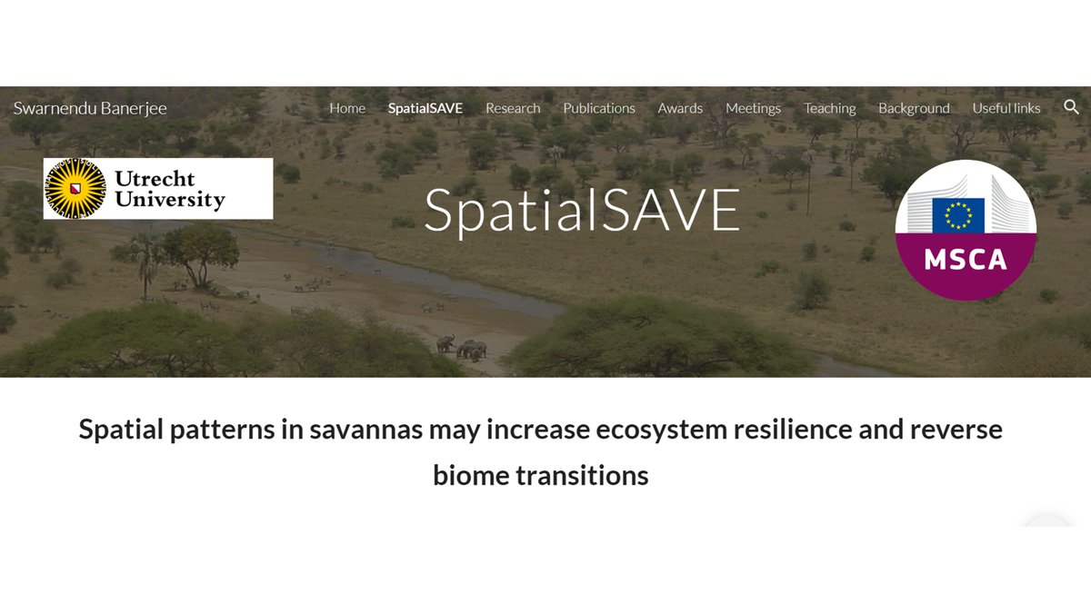 Swarnendu Banerjee (@swarnendub07) on Twitter photo Check out the webpage of my project SpatialSAVE funded by <a href="/MSCActions/">Marie Skłodowska-Curie Actions</a> Individual Fellowship from European Commission. We try to understand spatial patterns in the savannas and their role in ecosystem resilience. <a href="/maxrietkerk/">Max Rietkerk 🌍</a> @UUCopernicus
sites.google.com/view/swarnendu… Check out the webpage of my project SpatialSAVE funded by <a href="/MSCActions/">Marie Skłodowska-Curie Actions</a> Individual Fellowship from European Commission. We try to understand spatial patterns in the savannas and their role in ecosystem resilience. <a href="/maxrietkerk/">Max Rietkerk 🌍</a> @UUCopernicus
sites.google.com/view/swarnendu…