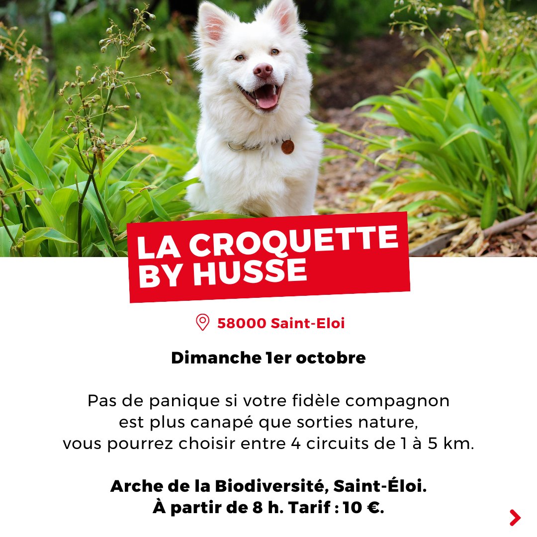 koikispass's tweet image. @villedenevers
@lafrenchrun

#sortir #festirue #decize #guerigny #puces #nevers #americain #octobrerose #irlande #morvan #ecosse #festival #pouguesleseaux #chateauchinon #sainteloi #nievre #nievretourisme #neverstourisme #koikispass