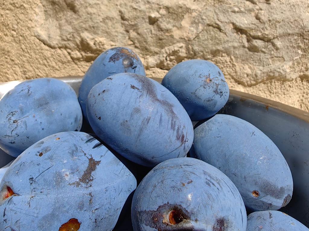 fornfan's tweet image. So, die italienischen Trockenpflaumen 👇
#Spacetalk