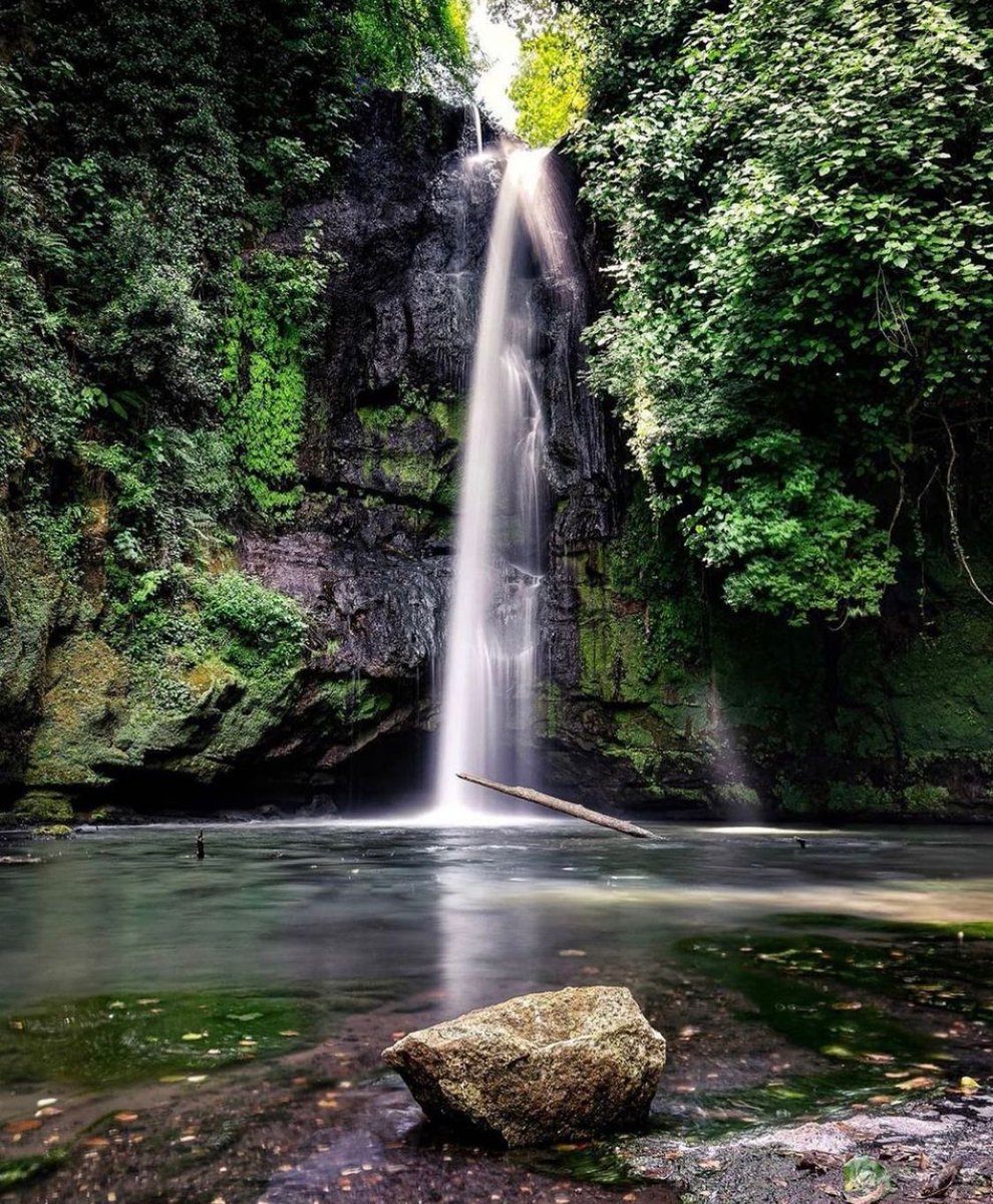 visit_lazio's tweet image. Nei pressi di #Nepi, in provincia di #Viterbo, esiste un angolo di natura spettacolare: la #CascataDelPicchio è un vero e proprio gioiello di bellezza e relax 

📷 Ig mamari_ph
📷 Ig _p_e_r_a
📷 Ig ilnepesino

#VisitLazio #LazioIsMe #LazioEternaScoperta