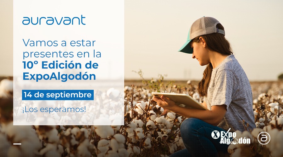 Auravant_ES's tweet photo. El próximo 14 de septiembre os esperamos en la X edición de  #Expoalgodon

🙋‍♂️🙋‍♀️ Ven a conocer las últimas actualizaciones de nuestra plataforma de la mano de nuestros expertos 👨🏻‍💻

🗓️14 de septiembre
📍Alcalá, Torre de la Reina https://t.co/JJfW7v0sNw
