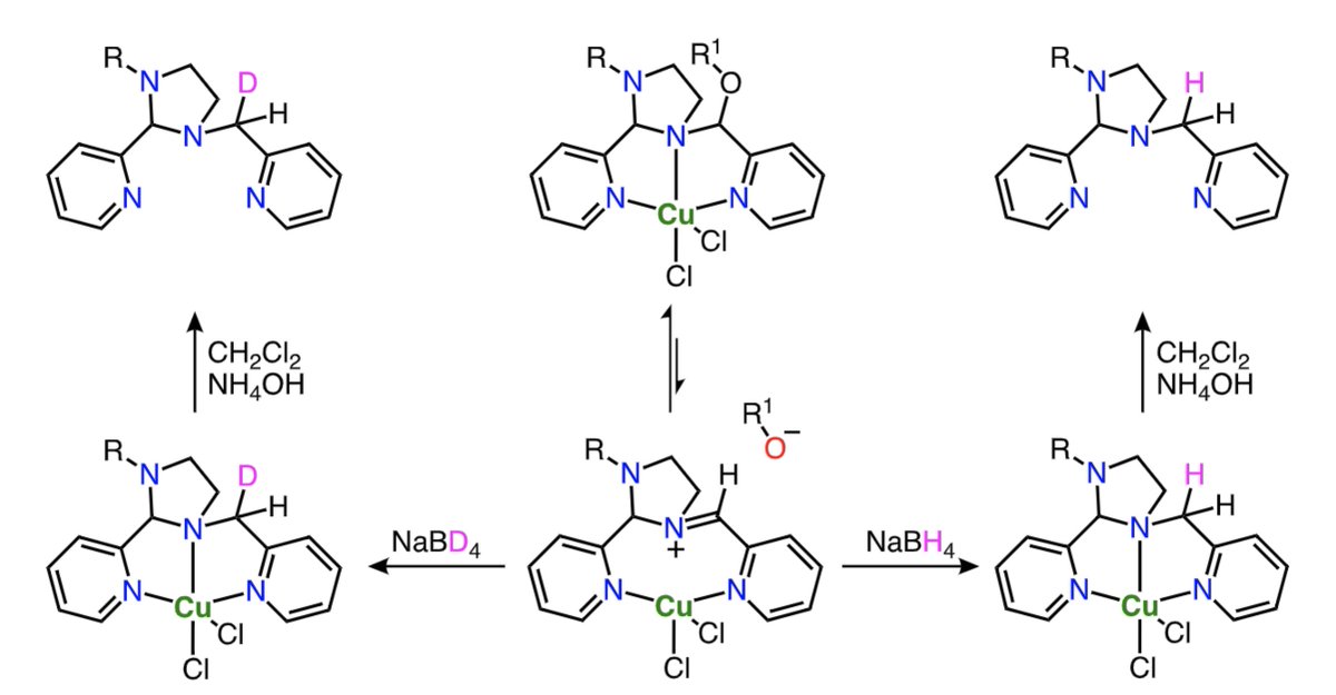 Raja Angamuthu (@rajaangamuthu) on Twitter photo 