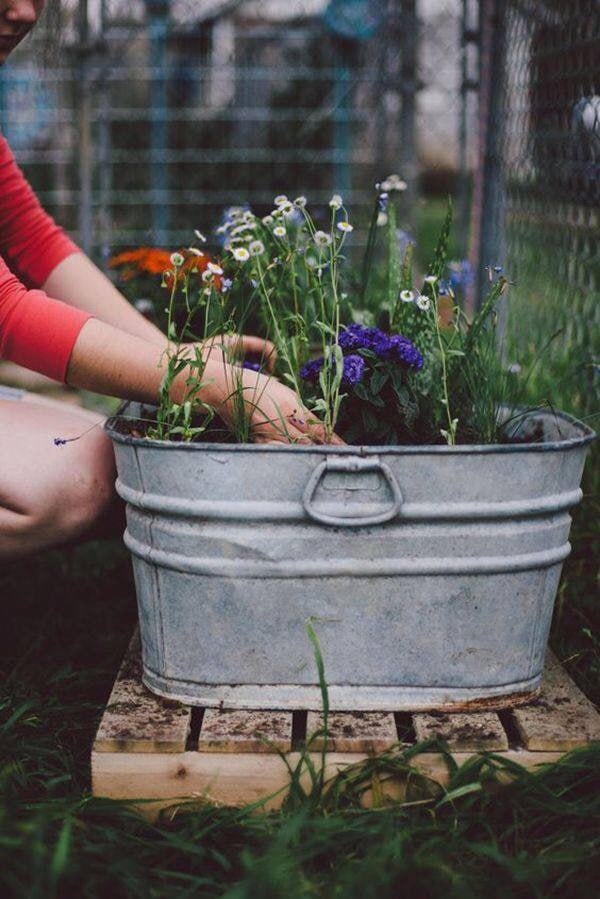 regiendrakece's tweet image. Enjoy the quiet time with your plants Always bloom with grace in life