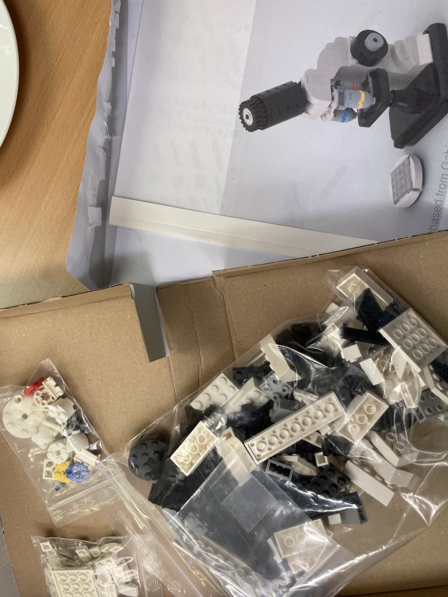 IntravitalI's tweet photo. Awesome lab birthday present🤩🤩🤩 Thanks Experimental Immunodynamics!! https://t.co/YZbo6lQBac