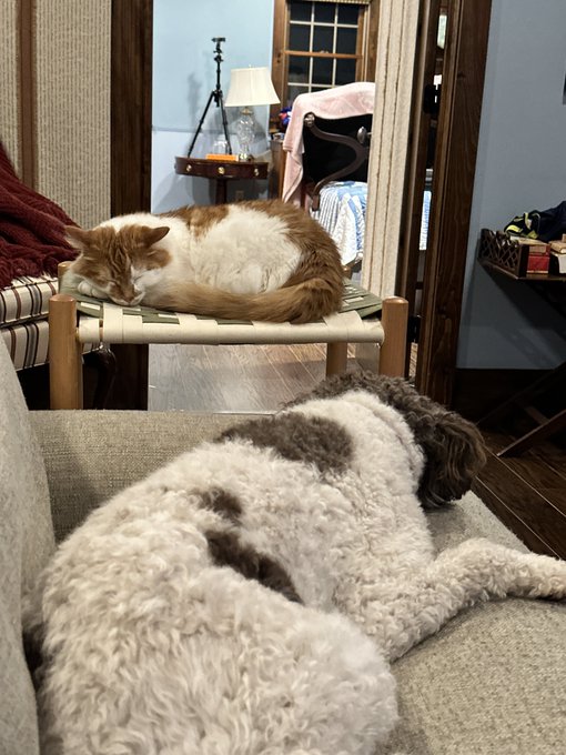 They&rsquo;re buds now https://t.co/1EReyNdvYs