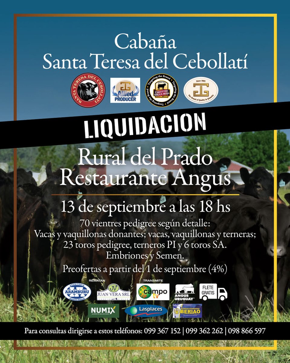 AngusUruguay's tweet photo. Remate Auspiciado ANGUS
🔨Liquidación Especial Virtual de @SCebollati 
🗓️Agende la fecha👉13/09  
📍Restaurante Carne Angus en @ExpoPrado 
Preofertas habilitadas https://t.co/dxihBmugdx
Vea catálogo aquí https://t.co/xfsRtkj3c1 https://t.co/utCKiG36aL