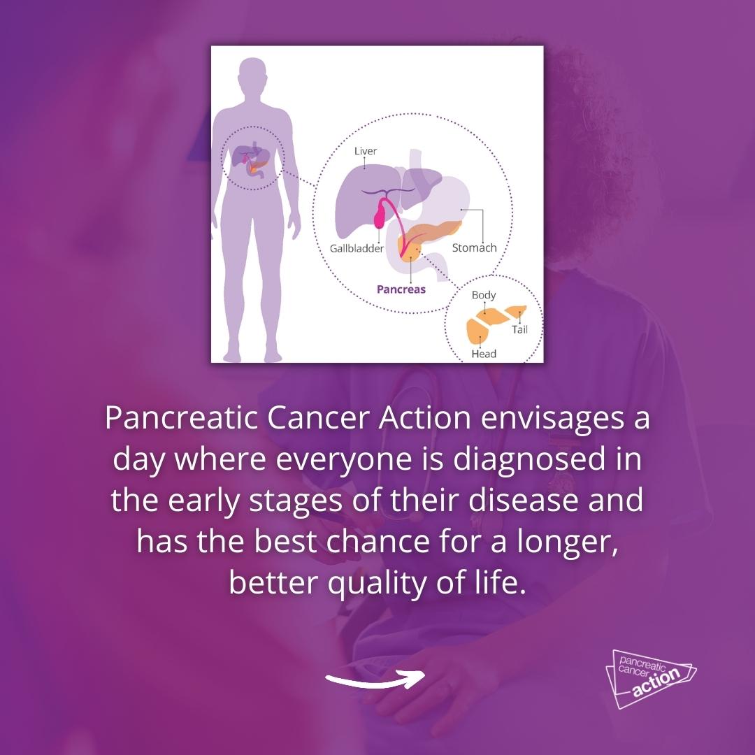 Pancreatic Cancer Action tweet media