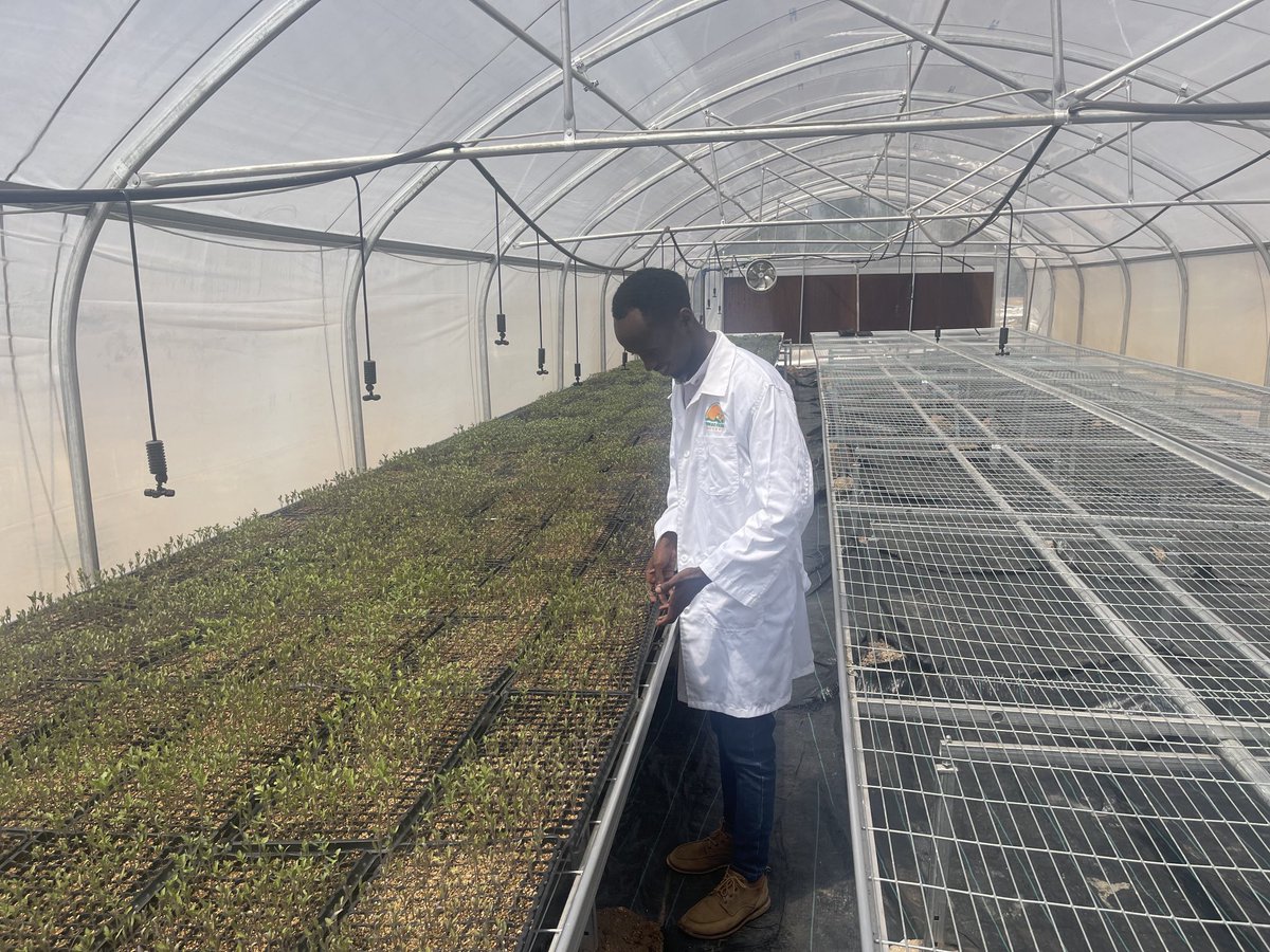 OpinaRw's tweet photo. Next generation has to be thinking on how to use efficiently our farmland and investing in indoor agriculture, that’s where we are. 

We are also investing much in indoor agriculture management practices, much more to come all at OPINA LTD. https://t.co/YvOZcRmjE4