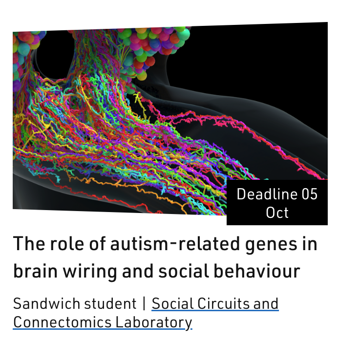 WindingMichael's tweet photo. We're looking for a sandwich student for 2024. Apply by 5 October!

The lab studies whole-brain neural circuitry underlying social behaviours, using the fruit fly larva as a model. For this project, we will explore the role of autism-related genes
https://t.co/AIbiZ848BV https://t.co/Tt6by2YOMw