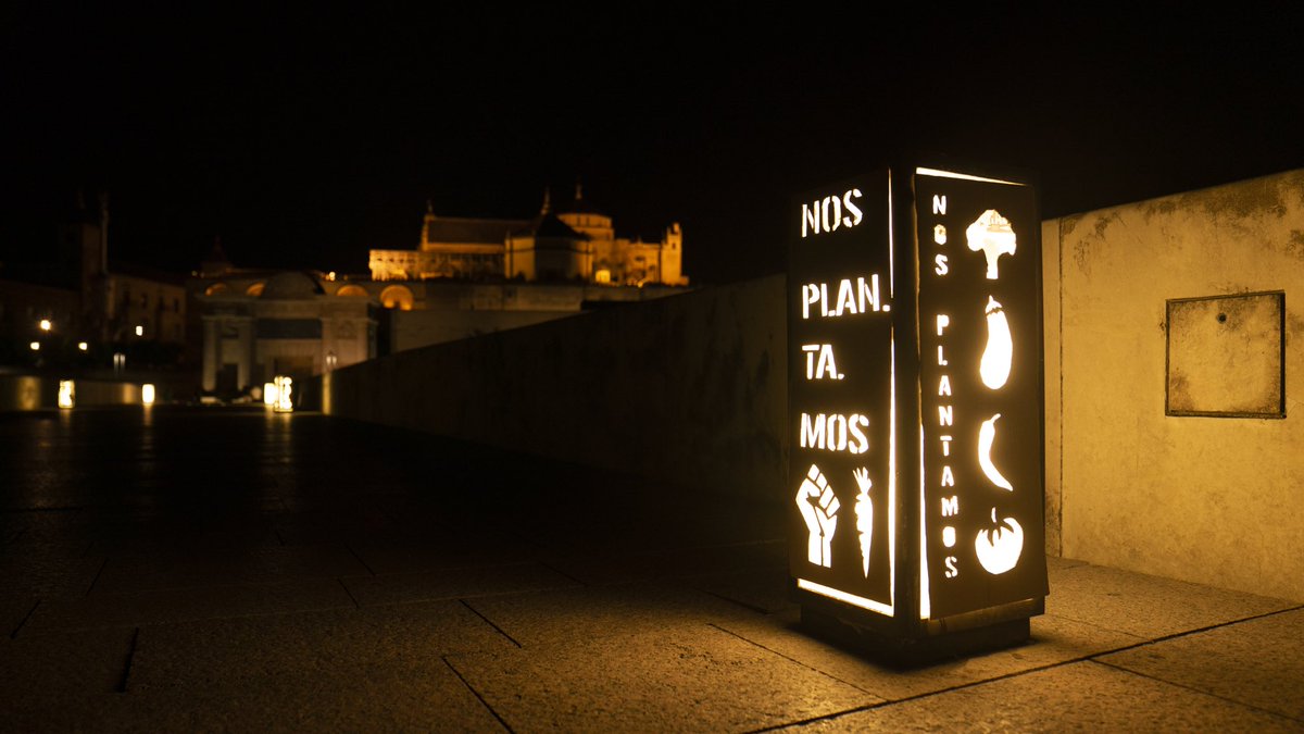 Elisa OtRa tweet media