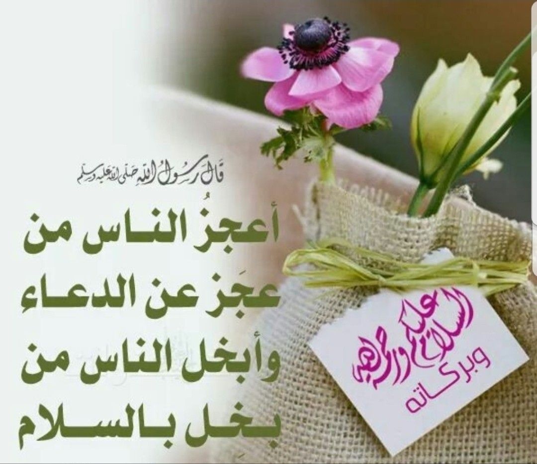 @EngAliIQ @N21_A3 @_0M01_ @__hms1 @Ahlam04900191 @qmr_raq @CC4QQ @QQ3QG_ @kam_ha1989 @blal_jb @Albasha40835 @0__llllll @khalidali5262 @F5Q5Q @ab24324 @DrAlbideri @matarrweili5 @Dr_abeer8 #قروبات_البابلي_للاضافات 
#دعم_ali