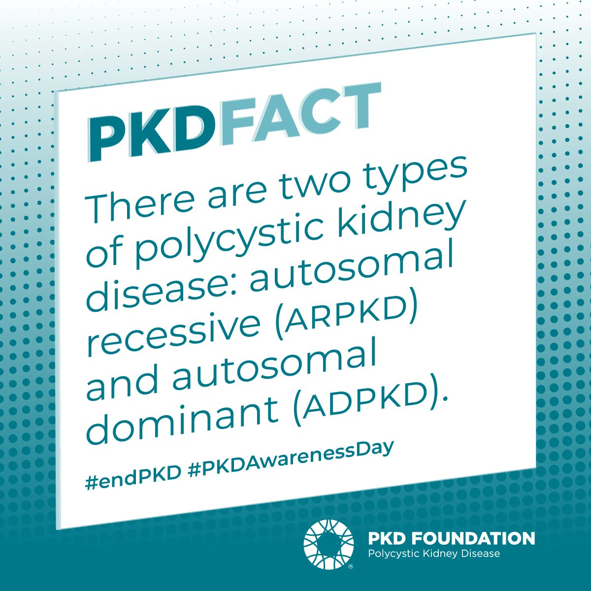 COTA_ORG's tweet photo. Today is #PKDAwarenessDay, a day dedicated to educating & inspiring communities to learn about Polycystic Kidney Disease (PKD). Patients who battle PKD often require a kidney #transplant sometime in their life ... COTA can help with transplant-related expenses. #COTAHope #endPKD https://t.co/p7kSmSpag2