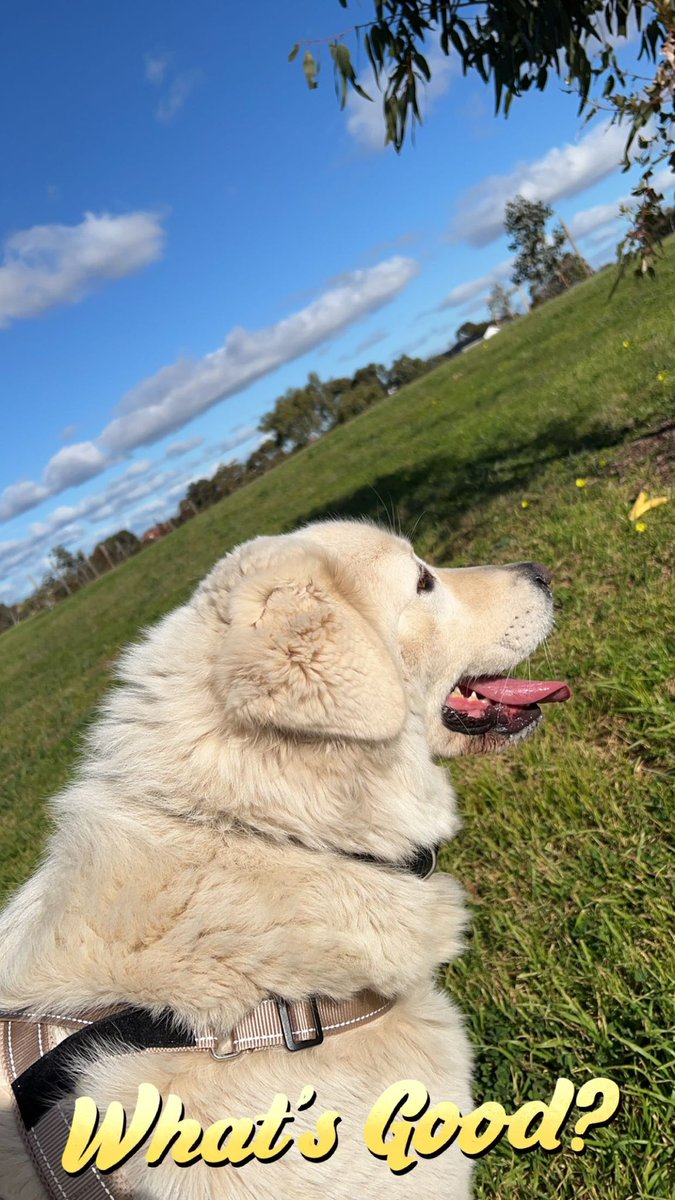 Aleks Barcode tweet media