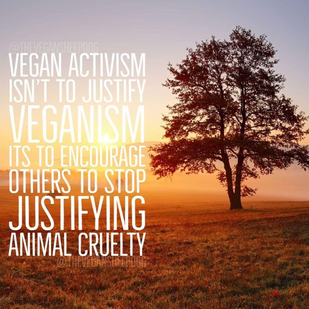 Instead of asking why I'm vegan, ask yourself why you are not vegan...

#veganism #veganactivist #vegan #veganmen #veganwomen #veganfamily #veganforanimals #animals #personalchoice #environment #animalcruelty #veganmeme #veganmemes #food #choices