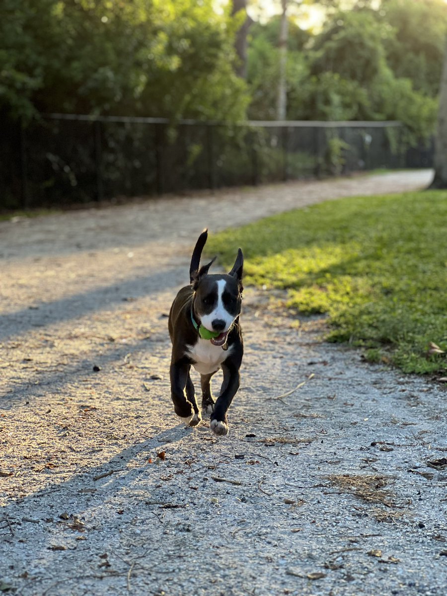 My heart ❤️❤️🥰